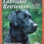 LABRADOR RETRIEVERS - ANGOL NYELVŰ KÉZIKÖNYV 1995. fotó