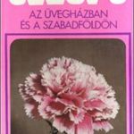 Kokas György (szerkesztő): Szegfű az üvegházban és a szabadföldön fotó