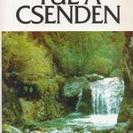 Túl a csenden fotó