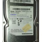 Samsung 1TB HDD merevlemez SATA 100/100 #0012 fotó