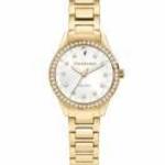 TRUSSARDI R2453151504 Női karóra fotó