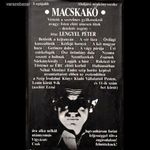 Lengyel Péter: Macskakő fotó