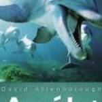 David Attenborough- Az élet megpróbáltatásai 5. (1990)-eredeti dvd-bontatlan! fotó