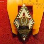 ZRÍNYI KATONAI AKADÉMIA 1949-1956 JELVÉNY kiv-, kis zománchiba fotó