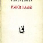 Jámbor lázadás - Ténagy Sándor fotó