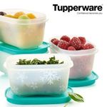 Tupperware pici fagyasztótárs 170 ml, 1db Új, akciós fotó
