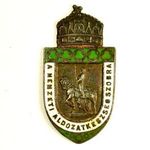 I. VILÁGHÁBORÚ : 1915." A Nemzeti Áldozatkészség Szobra " zománcozott bronz jelvény ! fotó