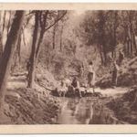 cs. és kir. (székely) 82. gyalogezred hadirokkant alapja javára, levelezőlap 1916 fotó
