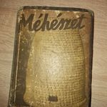 Ignácz Sándor Méhészet fotó