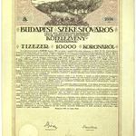 Budapest Székesfőváros 4 1/2 % kölcsöne, kötelezvény 10000 Koronáról. Budapest, 1918 május 18. T: 2 fotó