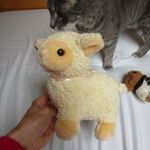 aranyos plüss bárány akár húsvétra is 19cm magas, 20cm hosszú LAK/PLÜSS 0425 fotó