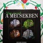 Müller Nándor: Négy évszak a Mecsekben fotó