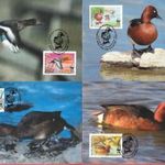 2000. Azerbajdzsán , WWF Lápi réce sor CARTE MAXIMUM fotó