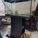 100 literes akvárium világítással és bútorral fotó
