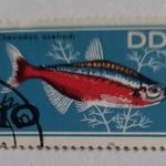 1966-os akváriumi halak 10 Pf. - Kelet-német pfennig fotó