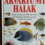Akváriumi halak fotó
