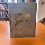 Bársony István : Erdőn Mezőn (*42) fotó