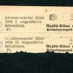 Hajdú Vármegye kéményseprődíj 1956 fotó