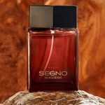 MOST AKCIÓS! *** Segno Success for Men / férfi parfüm, 50 ml *** Avon. Új! fotó
