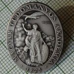 MAGYAR TUDOMÁNYOS AKADÉMIA 1825 EZÜST PATENTOS KITŰZŐ JELVÉNY fotó
