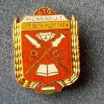 Salgótarjáni Üveggyár Kossuth Művelődési Otthon Munkadij I. 1963 jelvény fotó