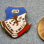 Iskoila jelvény - Karcagi Gimnázium "300" fotó