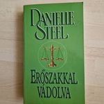 Danielle Steel: Erőszakkal Vádolva fotó
