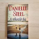 Danielle Steel: A tékozló fiú fotó