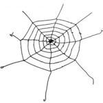 Halloween pókháló dekoráció fotó
