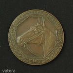 Német - Berlini sportlovas bronz érem fotó