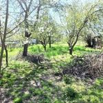 Családi ház Debrecen Dohányos utca 17 fotó