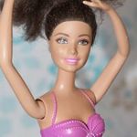 2013/ Mattel Barbie a Rózsaszín cipőben Balerina Doll - afroamerikai - Nikki fotó