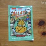 Spar Állati rekordok II. 108. Vaddisznó fotó