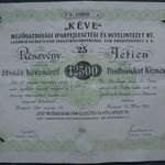KÉVE Mezőgazdasági Iparfejlesztési és Hitelintézet Rt. részvénye 12.500 K., Bp. 1924 fotó