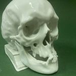 Herendi porcelán koponya " Memento mori " különleges, ritka kidolgozottabb változat... fotó