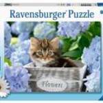 Ravensburger Kicsi cicák 300 darabos puzzle fotó