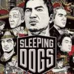 Sleeping dogs Ps3 játék - Square Enix fotó