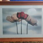 IKEA KÉP - YOSHIZO KAWASAKI - POPPIES fotó