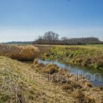 Hövej - 431 m2-es telken ház eladó fotó