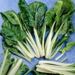 Lucullus MÁNGOLD - Beta vulgaris ssp. cycla.magok (25+) - ÍZLETES KÜLÖNLEGESSÉG! - L 222 fotó