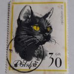1964-es macskák 30 gr - Lengyel grosz fotó