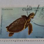 1983 Teknősök 2 ¢ - Kubai centavo fotó