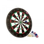 Darts szett 6db nyíllal fotó