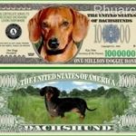 Tacskó Kutya 1 millió dollár emlékpénz UNC No.224 fotó
