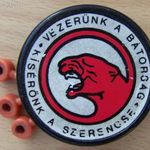 Puma Harcászati Repülőszázad, Légvédelmi Vadászrepülő Osztály / Ezred emléktárgy, Horthy (0229) fotó