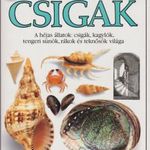 Csigák fotó