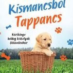 Kismancsból Tappancs fotó