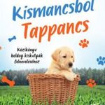 Kismancsból Tappancs - Steve Mann fotó