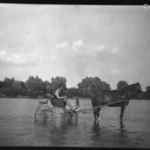 Régi fotónegatív lovaskocsival a vizen át Lónyay család hagyatékából 1900-as évek eleje fotó