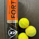 Dunlop Fort Clay Court teniszlabdák (3) fotó